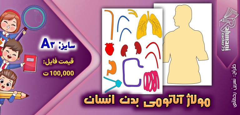 مولاژ آناتومی بدن انسان